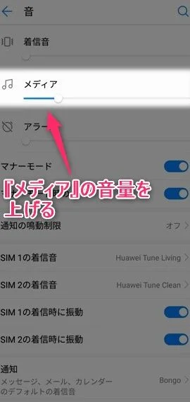 スマホ 音 出 ない イヤホン ストア